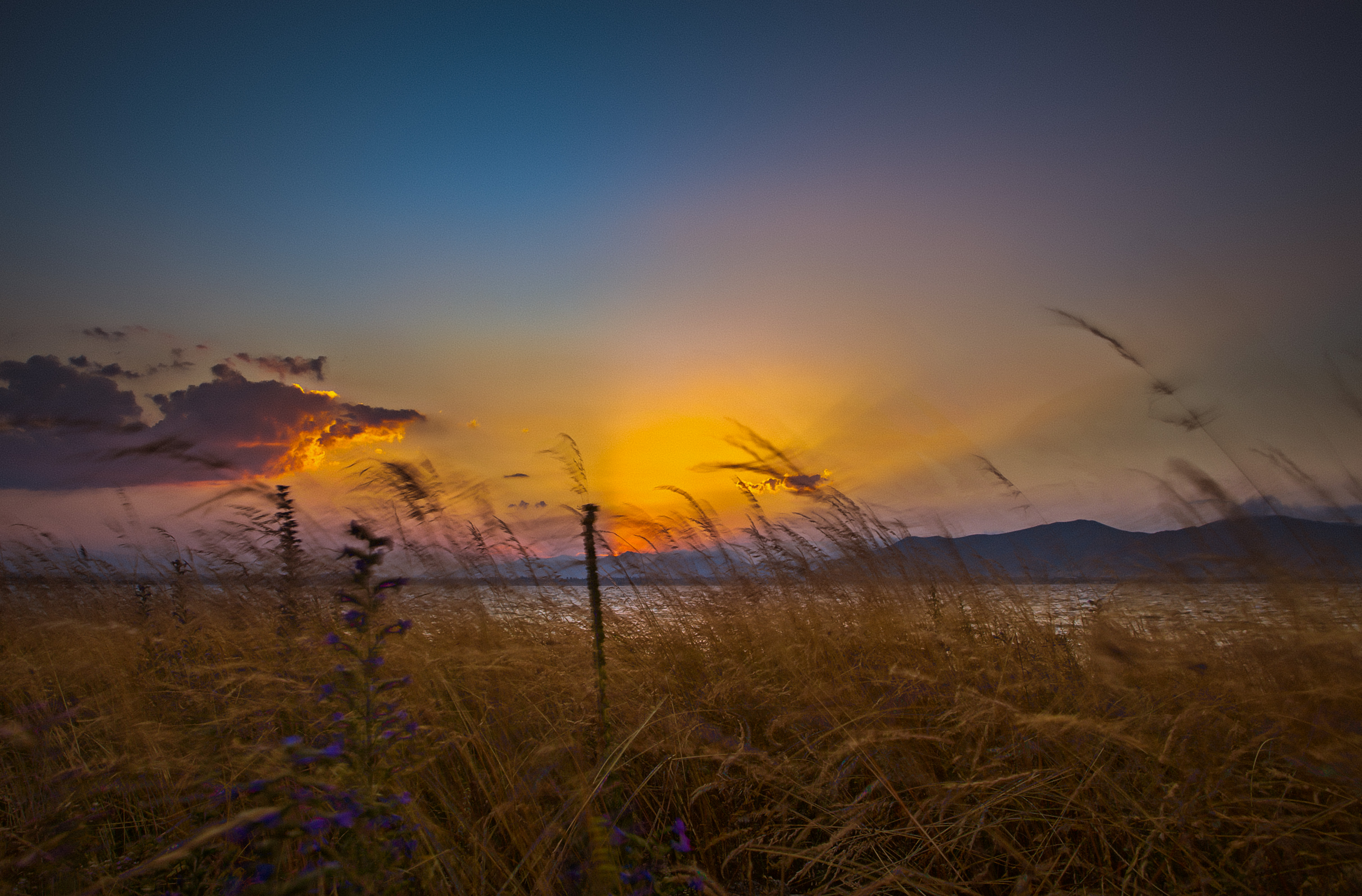 sevan